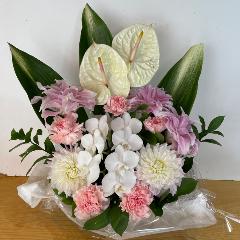 �Ӓ����ƃA���X�����[���̍��؁I�������A�����W�����g