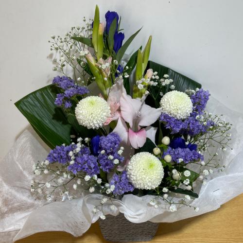 �s���|���e�Ə����s���N���������������A�����W�����g