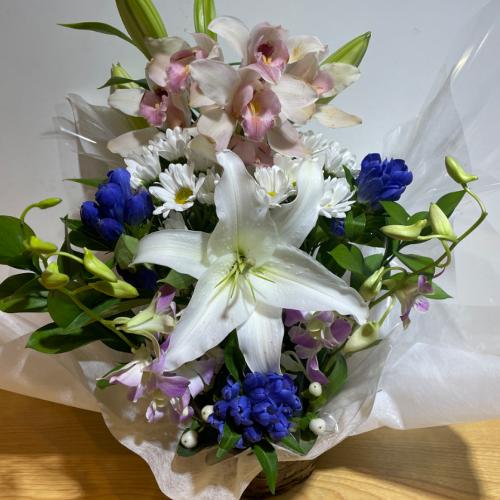 �V���s�W���[���ƃf���t�@���̗��̂������A�����W�����g3