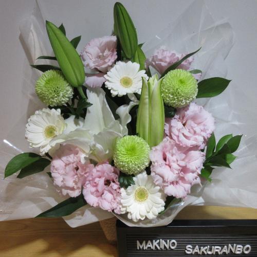 �S���ƃK�[�x���ɃO���[������ꂽ�������A�����W�����g3