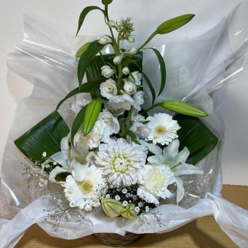 �����ƃ_���A���L���C�Ȃ������A�����W�����g2