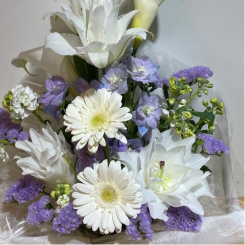 ���d�̕S���ƃJ���[�Ƀu���[���L���C�Ȃ������A�����W�����g6