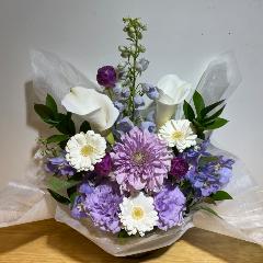 �p�[�v���̂��Ԃ������I�������ꂽ�������A�����W�����g