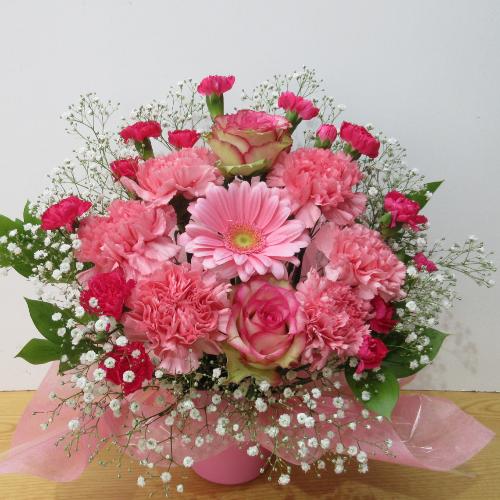 ���X�l�C�̔��d�̂��ƃK�[�x���̖���߃A�����W�����g2