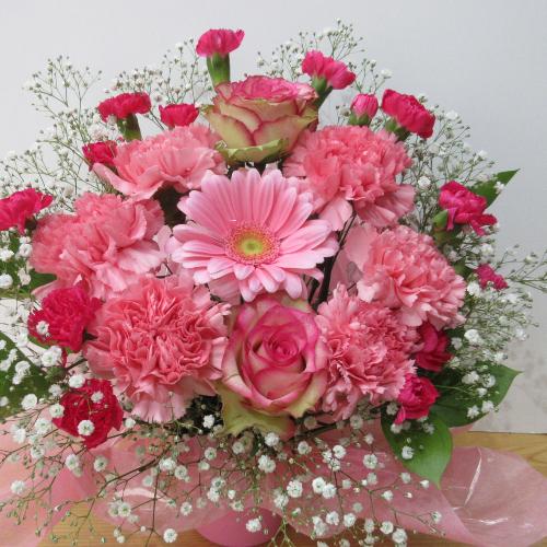���X�l�C�̔��d�̂��ƃK�[�x���̖���߃A�����W�����g4