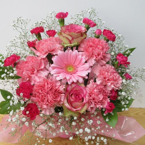 ���X�l�C�̔��d�̂��ƃK�[�x���̖���߃A�����W�����g8