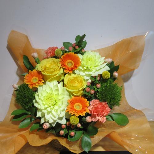 �_���A�ƃI�����W���L���C�ȃA�����W�����g2