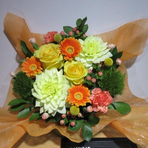 �_���A�ƃI�����W���L���C�ȃA�����W�����g3