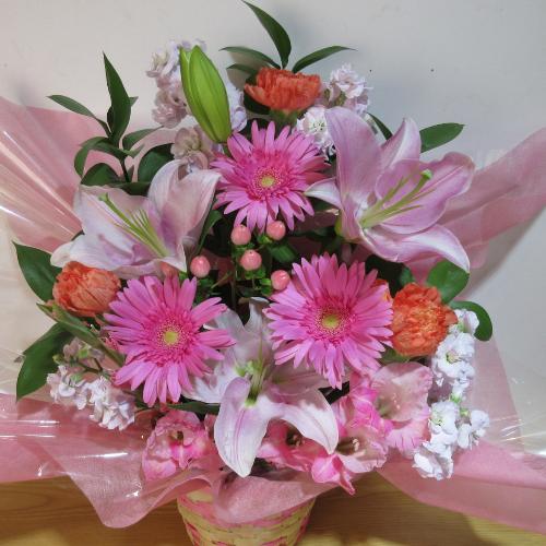 �s���N�̕S���ƃK�[�x���̉������؂ȃA�����W�����g5