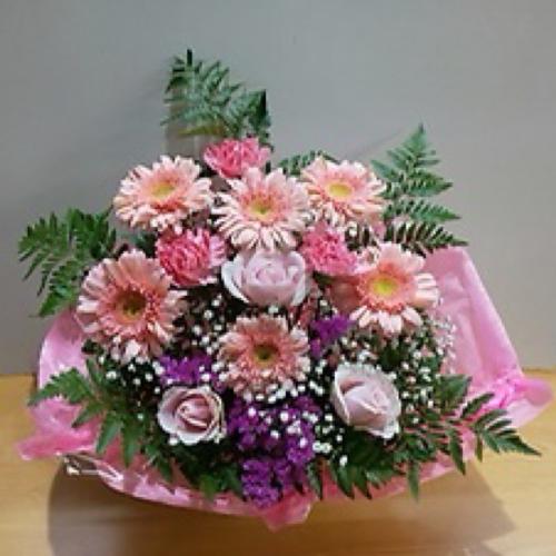 �s���N�s���N�̉����A�����W�����g�@�B