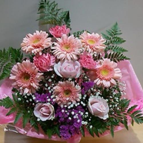 �s���N�s���N�̉����A�����W�����g�@�B3