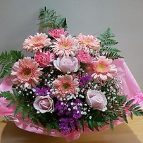 �s���N�s���N�̉����A�����W�����g�@�B4