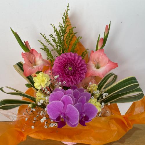 �Ӓ����ƃs���N�̉����A�����W�����g2
