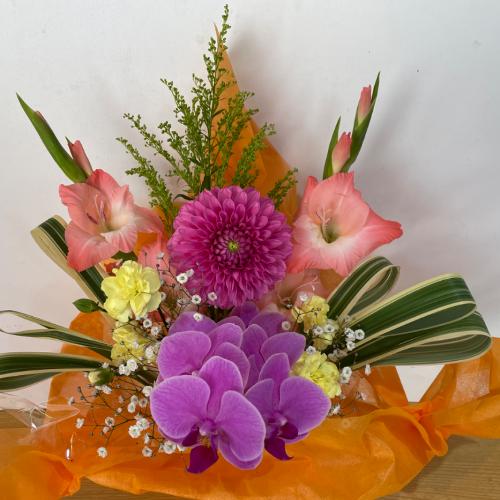 �Ӓ����ƃs���N�̉����A�����W�����g3