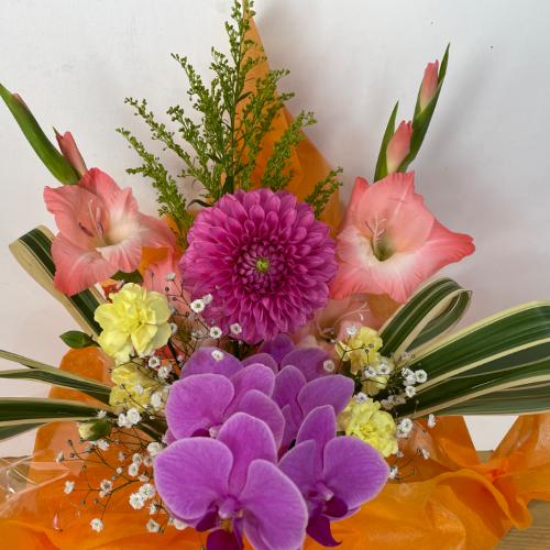 �Ӓ����ƃs���N�̉����A�����W�����g4