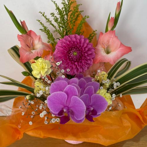 �Ӓ����ƃs���N�̉����A�����W�����g5