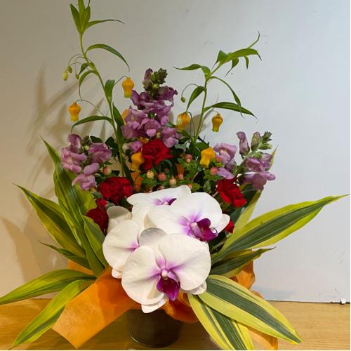 �K���̌Ӓ����I�ƃI�����W�̍��؂ȃA�����W�����g4