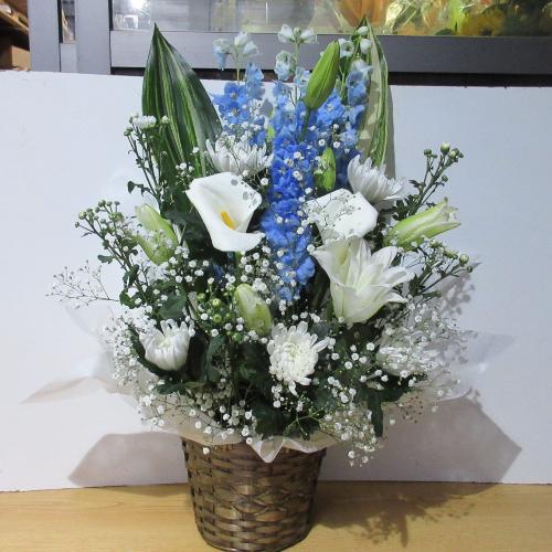 �e�����C���ɍ��؂ɁI�I�Ƃ������A�����W�����g