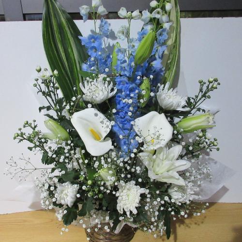 �e�����C���ɍ��؂ɁI�I�Ƃ������A�����W�����g3