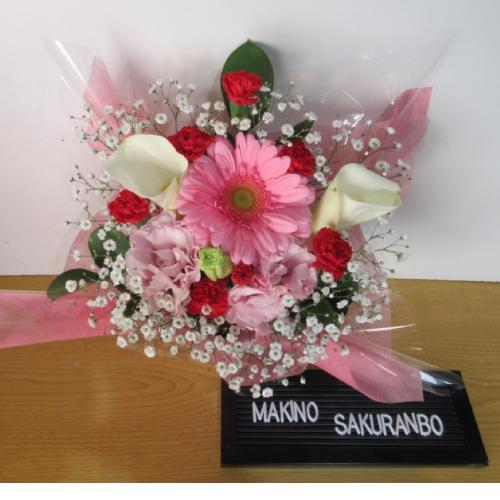 �J���[�ƃK�[�x���������I�A�����W�����g