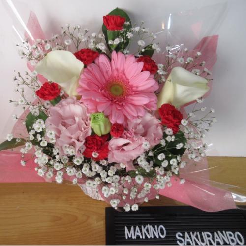 �J���[�ƃK�[�x���������I�A�����W�����g2