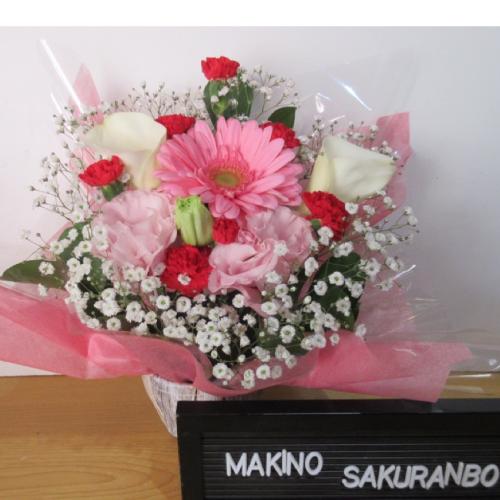 �J���[�ƃK�[�x���������I�A�����W�����g5