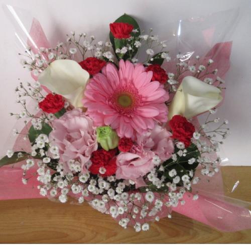 �J���[�ƃK�[�x���������I�A�����W�����g6