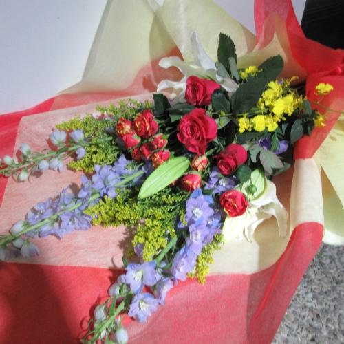 �o���ƃf���t�B�j���[���̍��؂ȉԑ��I�I4