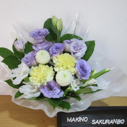 �p�[�v���ƃC�G���[�̂������A�����W�����g