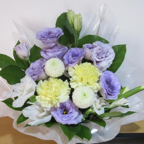 �p�[�v���ƃC�G���[�̂������A�����W�����g2