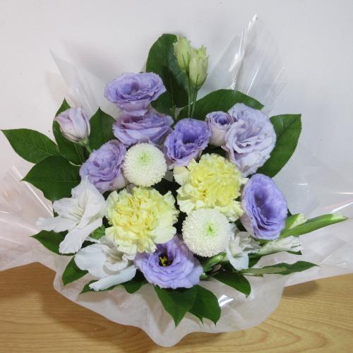 �p�[�v���ƃC�G���[�̂������A�����W�����g4