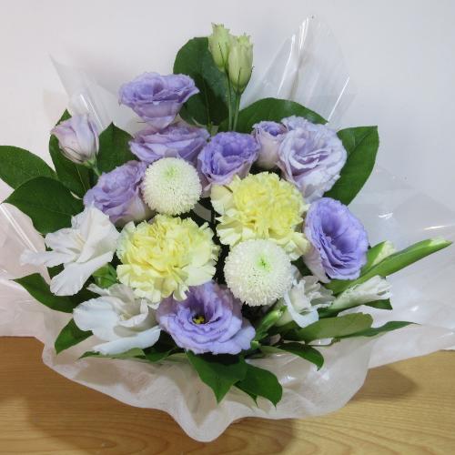 �p�[�v���ƃC�G���[�̂������A�����W�����g5
