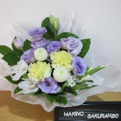 �p�[�v���ƃC�G���[�̂������A�����W�����g