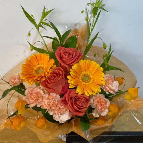 �I�����W�s�����̖��邢�A�����W�����g3