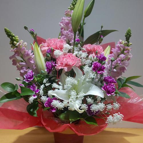 �S���ƃJ�[�l�[�V�����̍��؃A�����W�����g4