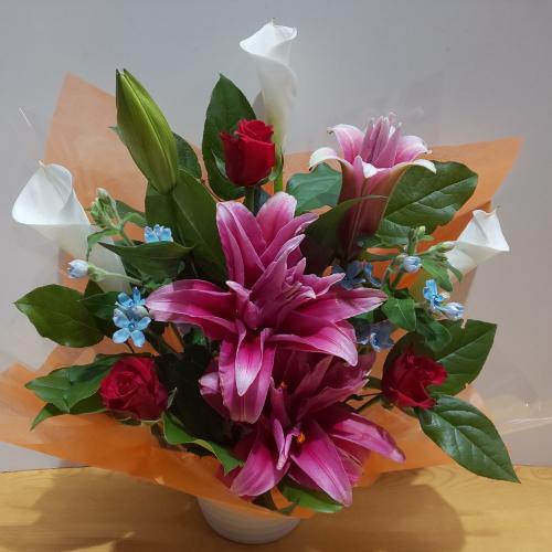 ���d�炫�S���ƐԂ��o���̃A�����W�����g2