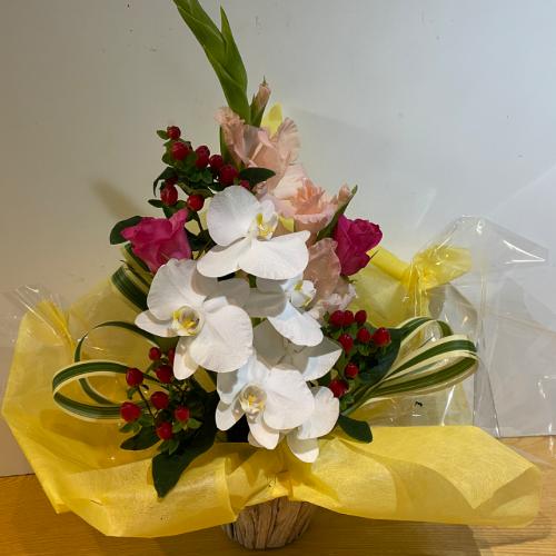 �o���ƌӒ����̃A�����W�����g2