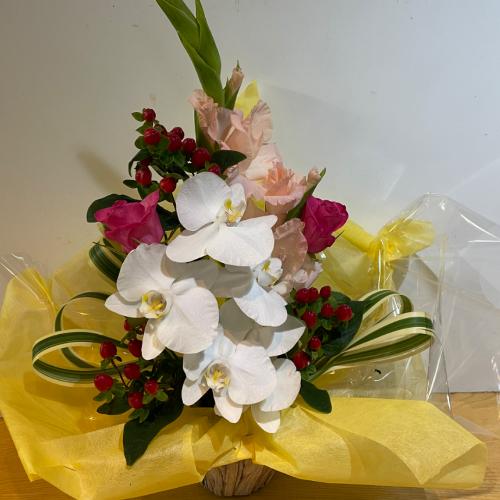 �o���ƌӒ����̃A�����W�����g3