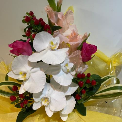 �o���ƌӒ����̃A�����W�����g4