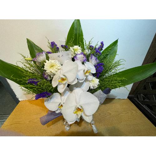 �Ӓ����ƃp�[�v���n�̌䋟�A�����W�����g