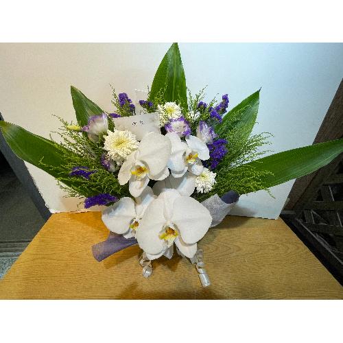 �Ӓ����ƃp�[�v���n�̌䋟�A�����W�����g2