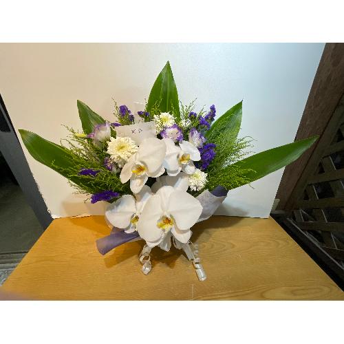 �Ӓ����ƃp�[�v���n�̌䋟�A�����W�����g3