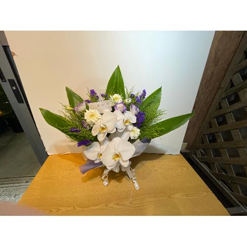 �Ӓ����ƃp�[�v���n�̌䋟�A�����W�����g4