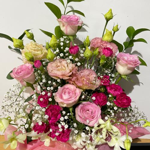 �s���N�̉������͋C�̍��؂ȃA�����W�����g2