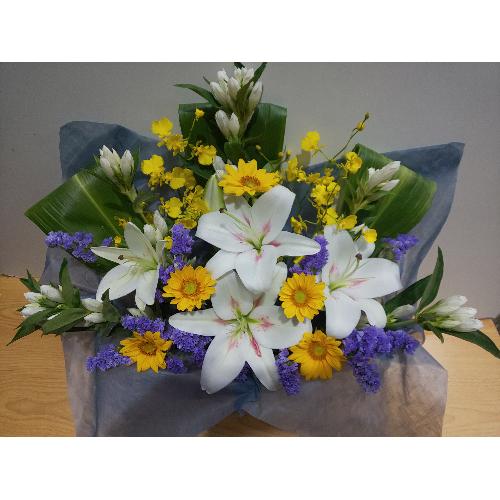�����Ђ܂�肪�������䋟���A�����W�����g�I2