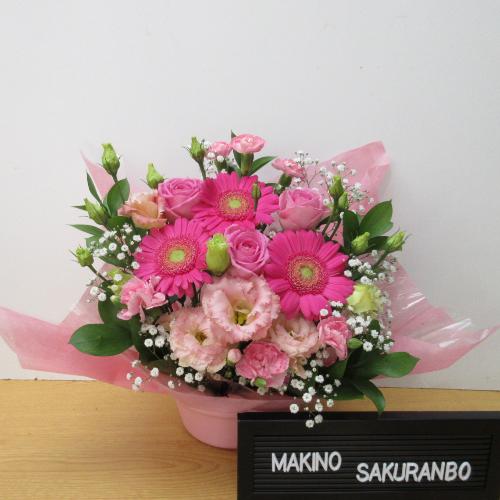 ���邢�s���N�K�[�x�������C���ɁI�L���[�g�ȃA�����W�����g