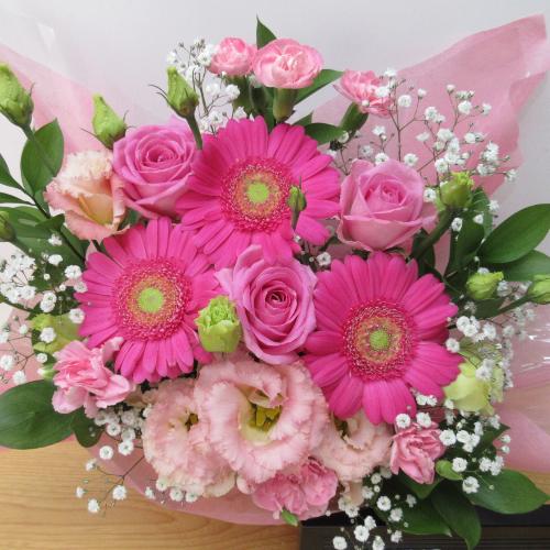 ���邢�s���N�K�[�x�������C���ɁI�L���[�g�ȃA�����W�����g3
