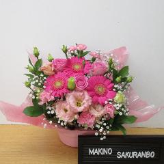 ���邢�s���N�K�[�x�������C���ɁI�L���[�g�ȃA�����W�����g