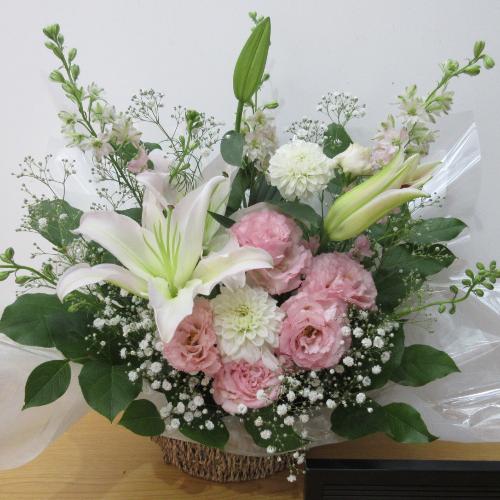 �S�������C���ɗm���ɁI�������A�����W�����g�I2