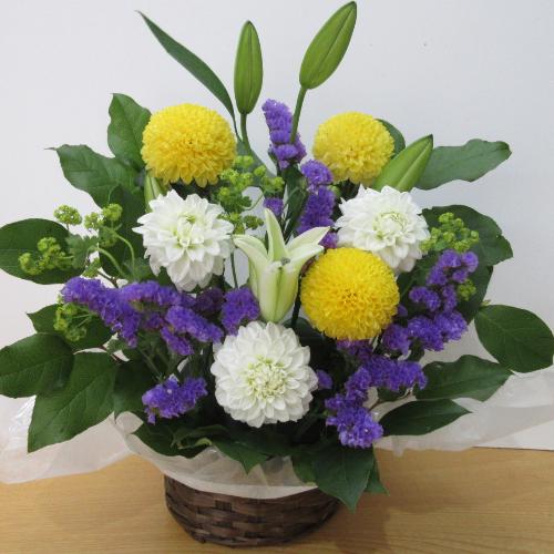 �����e�ƕS�����������������A�����W�����g2
